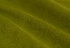 Newtone kiwi