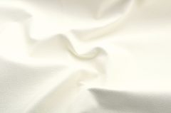 Domus milk