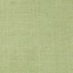 Ткань зеленая xten