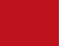 RAL3020