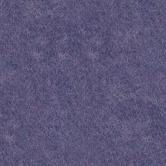AK30 Карельская Голубика