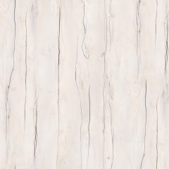 Таксония Айвори (основной цвет)