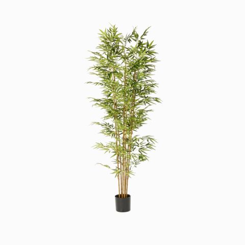 Бамбу (Bamboo) — в интерьере