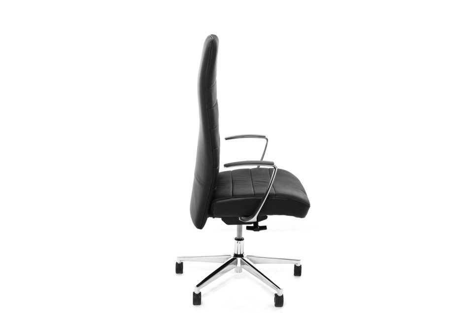 Страйп — Profoffice — в интерьере