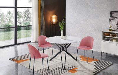 Стол DT-62 WHITE Стул С-962 Rose