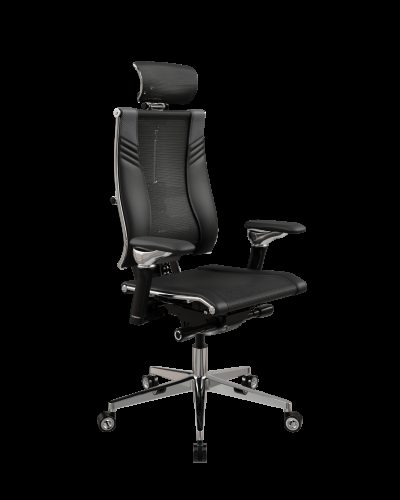 Кресло Ёга (Yoga) Spine Triumph B2