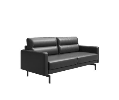 Диван 2-х местный с подлокотниками Chen SC64.3.CN